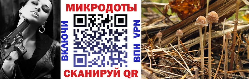 купить наркоту  Верхнеуральск  Псилоцибиновые грибы Magic Shrooms 